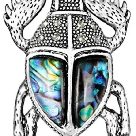 New Abalone Shell Pin Brooch. - Picture 2 of 16